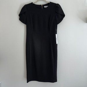 Tulip Sleeve Sheath Dress